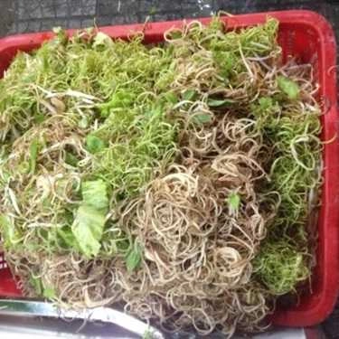 Tổng hợp- Quán Ăn Bún Chả Cá Riêu Cua