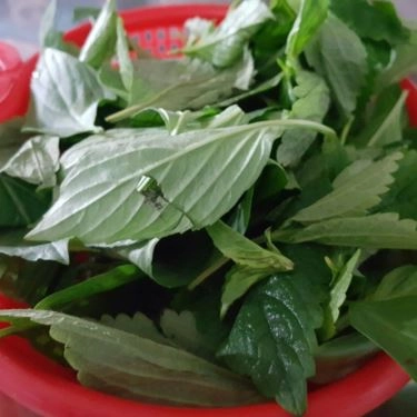 Tổng hợp- Quán Ăn Bún Riêu Cua