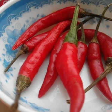Tổng hợp- Quán Ăn Bà Hai - Bún Riêu Cua Giò Heo