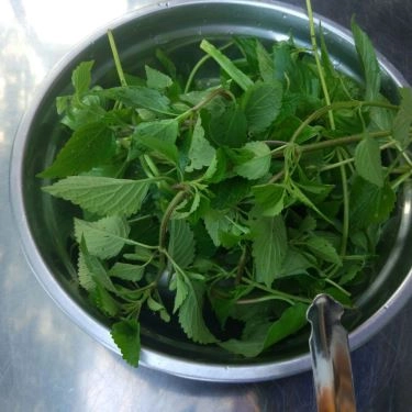 Món ăn- Quán Ăn Quán Út - Bún Riêu Cua Ốc