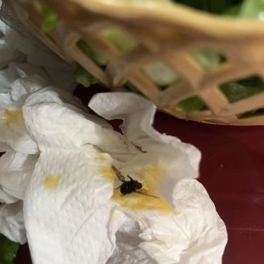 Tổng hợp- Quán Ăn Bún Riêu Hoàng Kỳ - Tô Hiệu