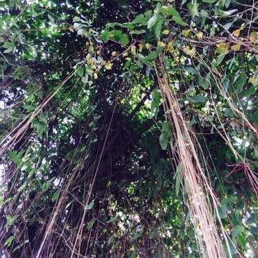 Tổng hợp- Quán Ăn Bún Thịt Nướng Hải Đăng