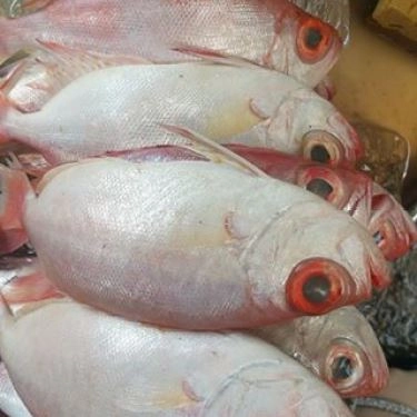 Tổng hợp- Quán Ăn Cá Biển Nướng 68