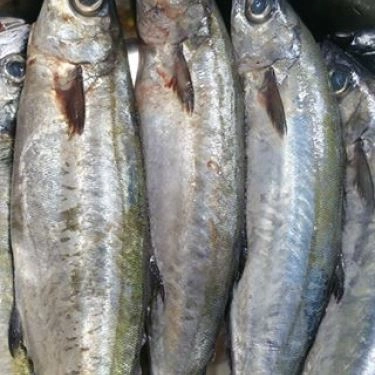 Tổng hợp- Quán Ăn Cá Biển Nướng 68