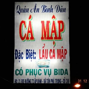 Tổng hợp- Quán Ăn Cá Mập Quán