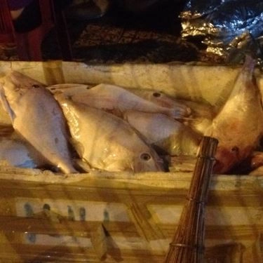 Tổng hợp- Quán Ăn Cá Nướng Cô Uyên