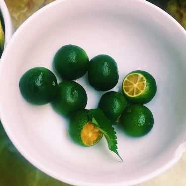 Tổng hợp- Cá Quê, Bún & Phở Ăn Sáng