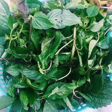 Tổng hợp- Cá Quê, Bún & Phở Ăn Sáng