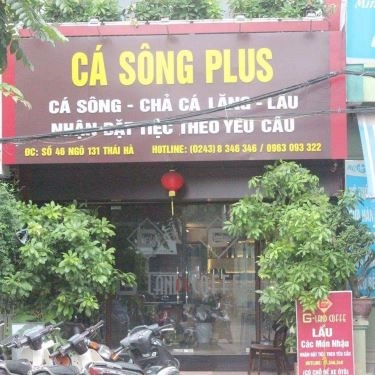 Tổng hợp- Nhà Hàng Cá Sông Plus