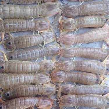 Tổng hợp- Cẩm Tú - Bún Hải Sản