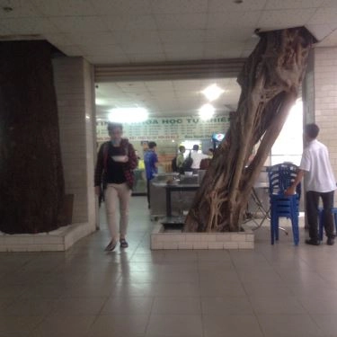 Tổng hợp- Quán Ăn Căn Tin Đại Học Khoa Học Tự Nhiên
