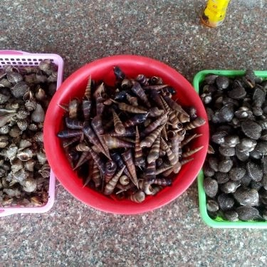 Tổng hợp- Quán Ăn Cậu 3 Ốc - Quán Ốc