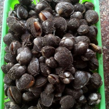 Tổng hợp- Quán Ăn Cậu 3 Ốc - Quán Ốc