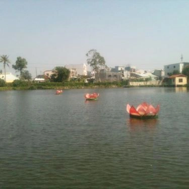 Tổng hợp- Nhà Hàng Ba Sen Vàng - Câu Cá Giải Trí