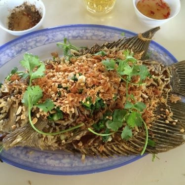 Tổng hợp- Quán Ăn Câu Cá Giải Trí Làng Ta - Đường Số 11