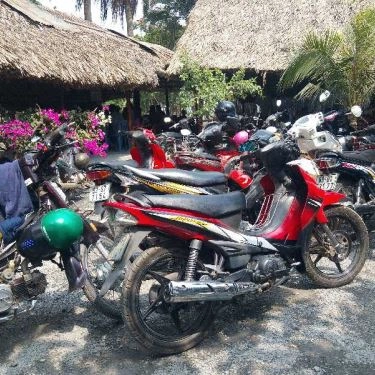 Tổng hợp- Quán Ăn Câu Cá Giải Trí Mười Nghĩa - Mai Chí Thọ