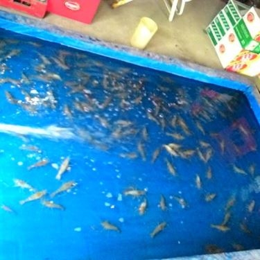 Tổng hợp- Cây Gáo - Quán Ăn Sân Vườn