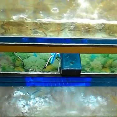 Tổng hợp- Cây Gáo - Quán Ăn Sân Vườn