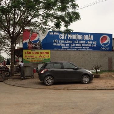 Tổng hợp- Quán Ăn Cây Phượng Quán - Lẩu Cua Sông & Gà Nướng Lu