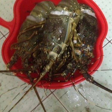 Tổng hợp- Quán Ăn Cây Sao - Quán Nướng Bình Dân