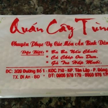 Tổng hợp- Cây Tùng - Quán Ăn Bình Dân