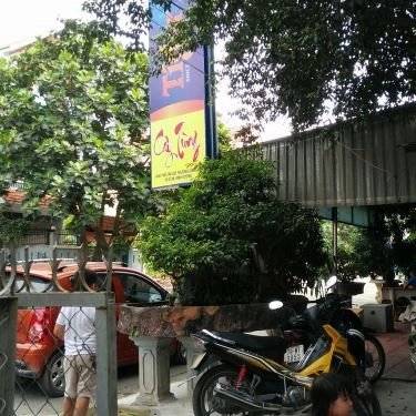 Tổng hợp- Cây Tùng - Quán Ăn Bình Dân