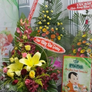 Tổng hợp- Quán Ăn Cháo Dinh Dưỡng Mina - Đoàn Văn Bơ
