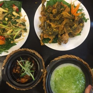 Món ăn- Quán Ăn Cháo Ếch Singapore Sentosa - Thái Hà