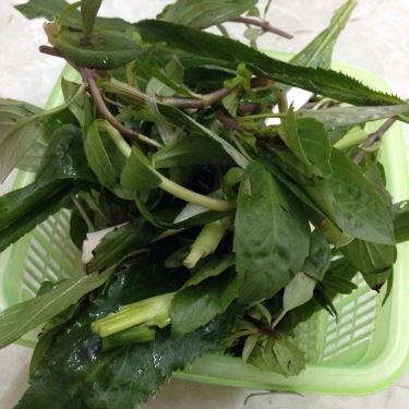 Món ăn- Quán Ăn Cháo Lòng Lan