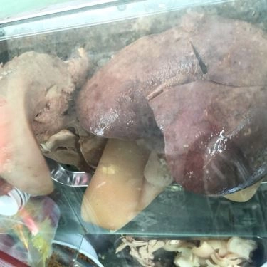 Tổng hợp- Cháo Lòng - Quán Ăn Bình Dân
