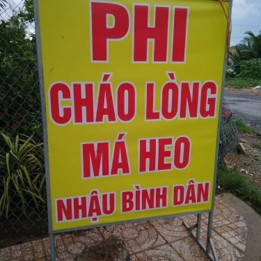 Tổng hợp- Quán Ăn Quán Phi - Cháo Lòng Má Heo & Các Món Nhậu Bình Dân