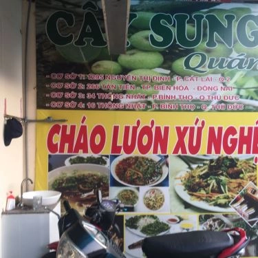 Tổng hợp- Quán Ăn Cây Sung Quán - Cháo Lươn Xứ Nghệ