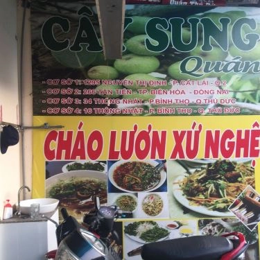 Tổng hợp- Quán Ăn Cây Sung Quán - Cháo Lươn Xứ Nghệ