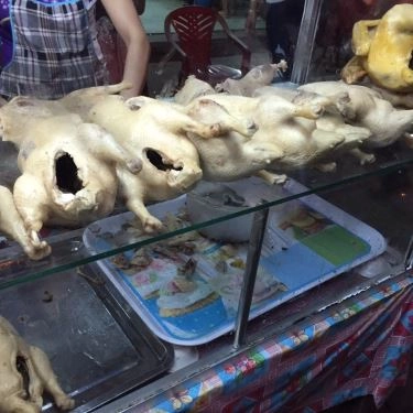 Món ăn- Quán Ăn Cháo Vịt Thuỷ