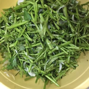 Tổng hợp- Quán Ăn Cháo Vịt Út Be