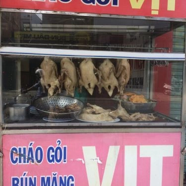 Tổng hợp- Quán Ăn Vân Thu Nga - Gỏi Vịt