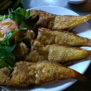 Tổng hợp- Quán Ăn A Thành - Hải Sản Tươi Sống