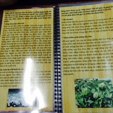 Thực đơn- Quán Ăn Bánh Canh Nấm An Nhiên - Nam Kỳ Khởi Nghĩa