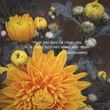 Tổng hợp- Quán Ăn Bánh Mì Chảo 2 Chị Em