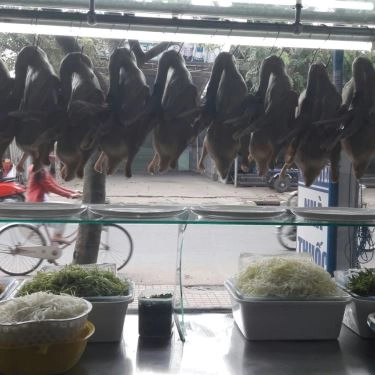 Tổng hợp- Quán Ăn Cà Phê Thanh Thảo