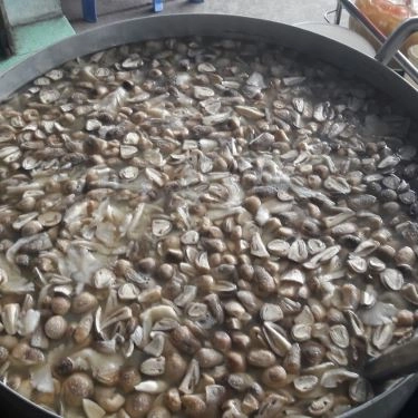 Tổng hợp- Quán Ăn Cà Phê Thanh Thảo