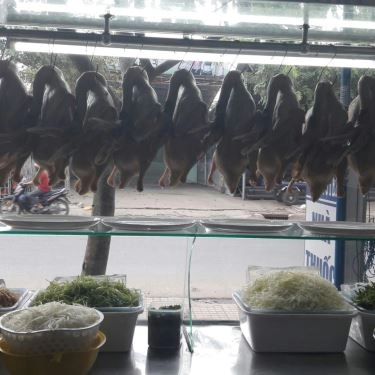 Tổng hợp- Quán Ăn Cà Phê Thanh Thảo
