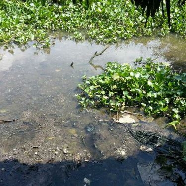 Tổng hợp- Quán Ăn Cô Ba Nữ - Cháo Bầu