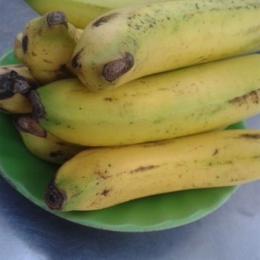 Tổng hợp- Quán Ăn Cơm Tấm 239