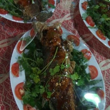 Tổng hợp- Đăng Khoa - Nhà Hàng & Karaoke