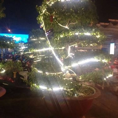 Tổng hợp- Quán Ăn Dê Đỉnh Núi - Lẩu & Xiên Que Tự Chọn