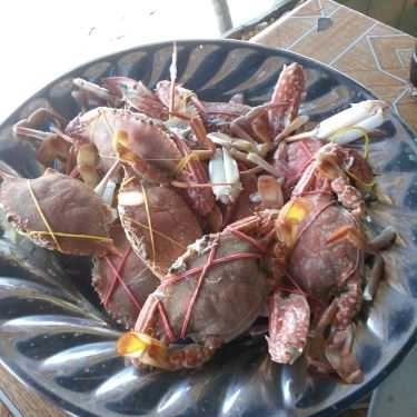Món ăn- Quán Ăn Gỏi Cá Trích Cây Bàng - Quốc Lộ 80