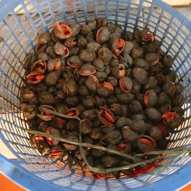 Tổng hợp- Quán Ăn Hải Sản Bà Thôi - Lê Đình Dương