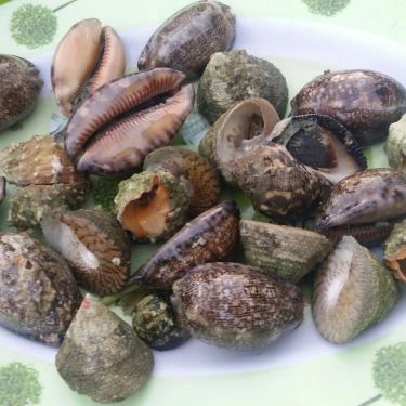 Món ăn- Quán Ăn Hải Sản Thành Mía