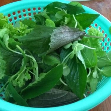 Tổng hợp- Quán Ăn Không Gian Xanh - Ẩm Thực Hội An